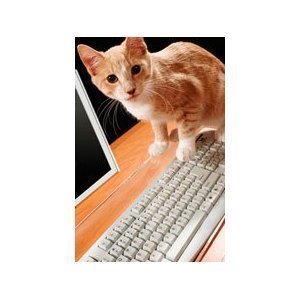 Catproof Computer Keyboard Cover