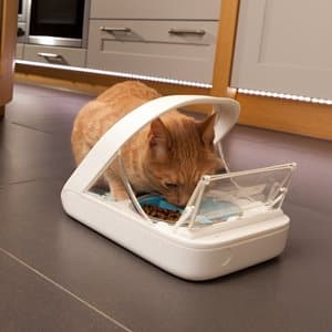 SureFeed Microchip Pet Feeder