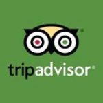 tripadvisor statistics user count facts 2023